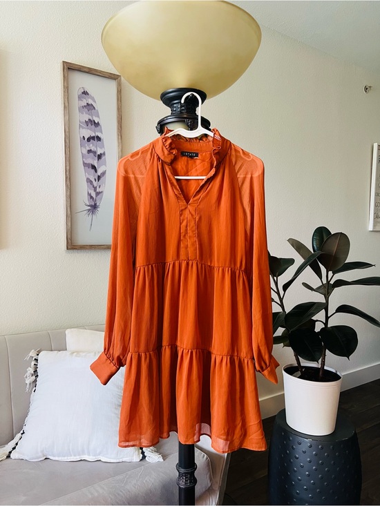 STATE Dresses & Skirts - STATE Burnt Orange Tiered Long-Sleeve Ruffle Dress